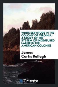 White Servitude in the Colony of Virginia: A Study of the System of Indentured Labor in the American Colonies;