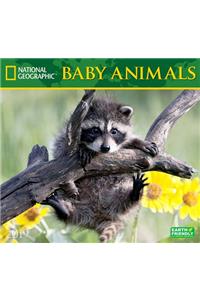 National Geographic Baby Animals 2019 Calendar