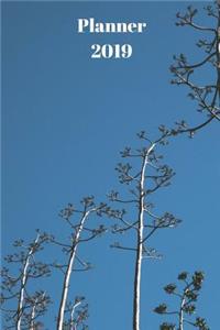Planner 2019