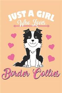 I Love My Border Collie