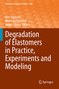 Degradation of Elastomers in Practice, Experiments and Modeling