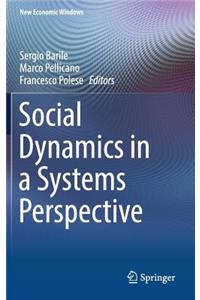 Social Dynamics in a Systems Perspective