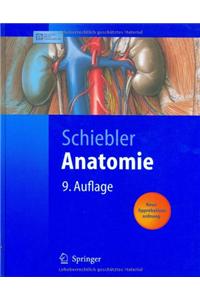 Anatomie: Histologie, Entwicklungsgeschichte, Makroskopische Und Mikroskopische Anatomie, Topographie