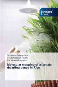 Molecular mapping of alternate dwarfing genes in Rice
