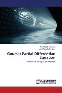 Goursat Partial Differentian Equation