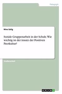 Soziale Gruppenarbeit in der Schule. Wie wichtig ist der Ansatz der Positiven Peerkultur?