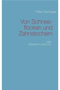 Von Schneeflocken und Zahnstochern