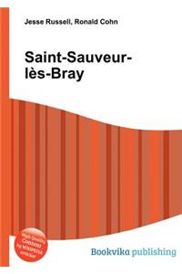 Saint-Sauveur-Les-Bray