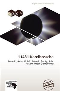 11431 Karelbosscha