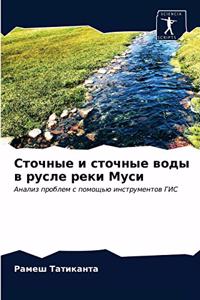 Сточные и сточные воды в русле реки Муси