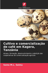 Cultivo e comercialização de café em Kagera, Tanzânia