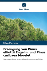 Erzeugung von Pinus elliottii Engelm. und Pinus caribaea Morelet