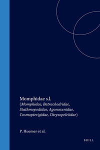 Momphidae S.L.