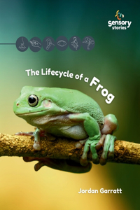 The Lifecycle of a Frog