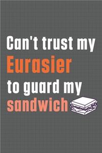 Can't trust my Eurasier to guard my sandwich