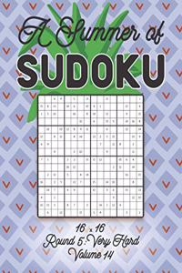 A Summer of Sudoku 16 x 16 Round 5