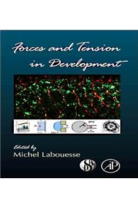 Forces and Tension in Development