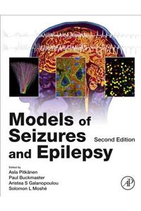 Models of Seizures and Epilepsy