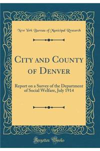 City and County of Denver: Report on a Survey of the Department of Social Welfare, July 1914 (Classic Reprint)