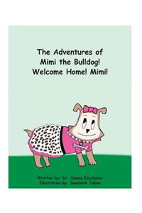 The Adventures of Mimi the Bulldog! Welcome Home! Mimi!