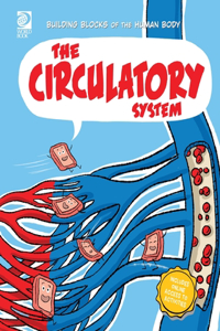 Circulatory System