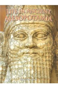 Life in Ancient Mesopotamia