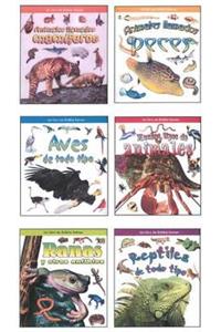 Que Tipo de Animal Es?