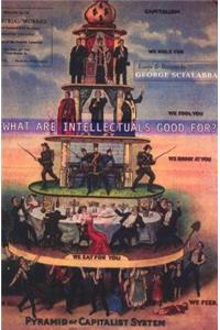 What Are Intellectuals Good For?