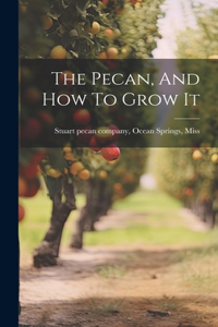 Pecan, And How To Grow It