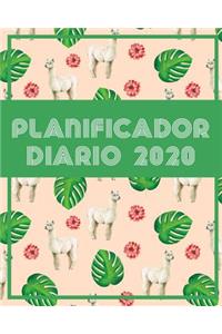 Planificador Diario 2020