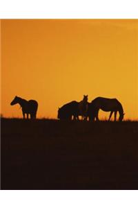 Horse Photo School Composition Book Equine Horses Sunset Silhouettes