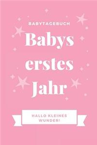Babytagebuch Babys Erstes Jahr Hallo Kleines Wunder