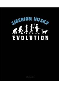 Siberian Husky Evolution