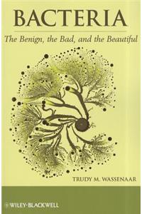 Bacteria: The Benign, the Bad, and the Beautiful