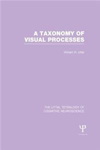 Taxonomy of Visual Processes
