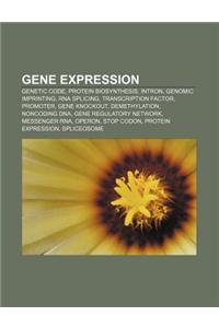 Gene Expression: Genetic Code, Protein Biosynthesis, Intron, Genomic Imprinting, RNA Splicing, Transcription Factor, Promoter, Gene Kno