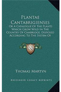 Plantae Cantabrigienses