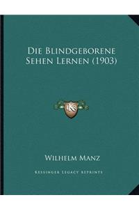 Die Blindgeborene Sehen Lernen (1903)