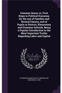 Common Sense; or, First Steps in Political Economy, for the use of Families and Normal Classes, and of Pupils in District, Elementary and Grammar Schools; Being a Popular Introduction to the Most Important Truths Regarding Labor and Capital