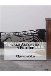 Lake Artemesia in Pictures