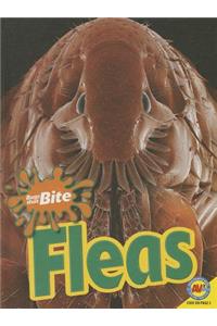 Fleas