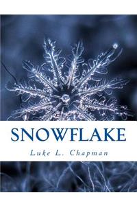 Snowflake