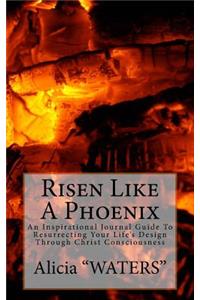 Risen Like A Phoenix