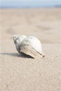 Whelk Shell on the Beach Journal