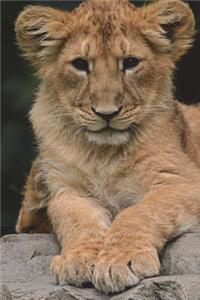 Lion Cub Journal