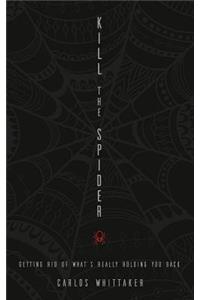 Kill the Spider