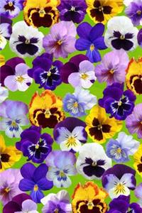 Vintage Bright Pansy Illustration Flower Journal