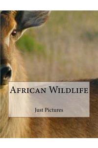 African Wildlife