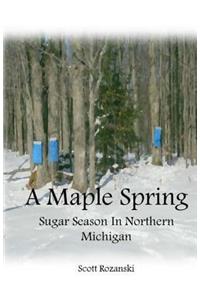 Maple Spring