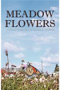 Meadow Flowers